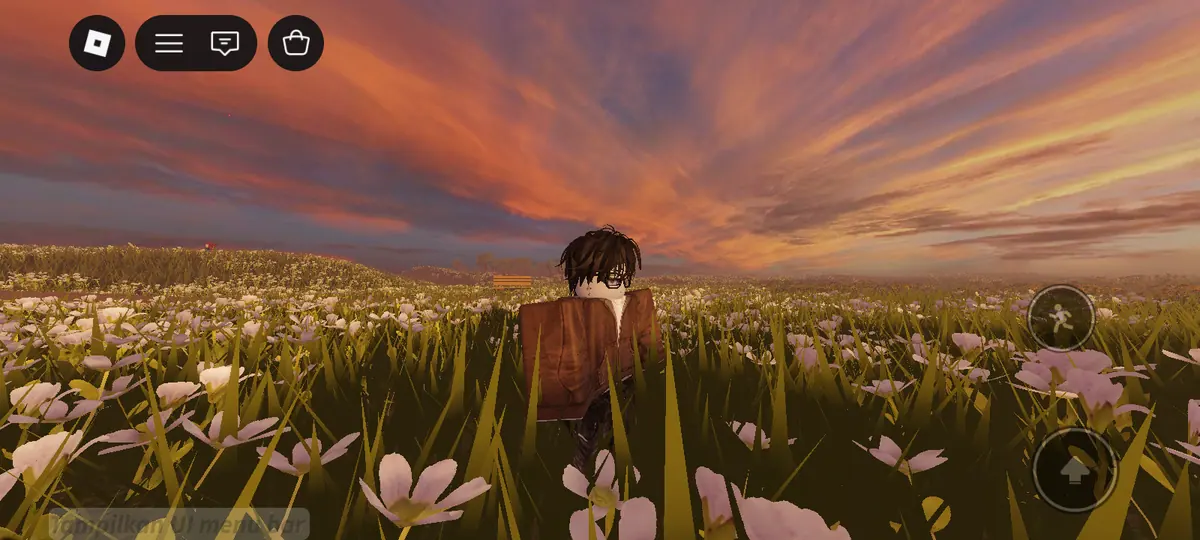 Image shared by Josee