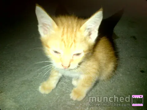 Image shared by aku baik - baik saja