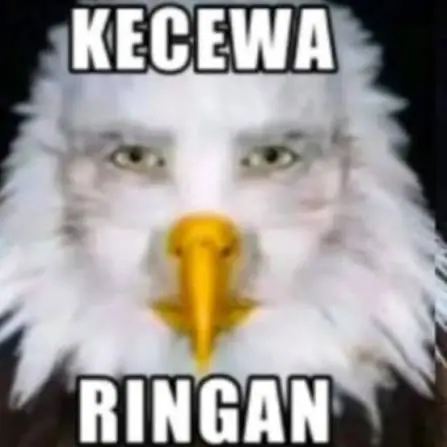 Image shared by Anomali Biru